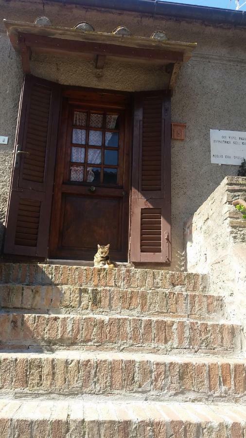 Torre Rossa Apartment Bolgheri Bagian luar foto